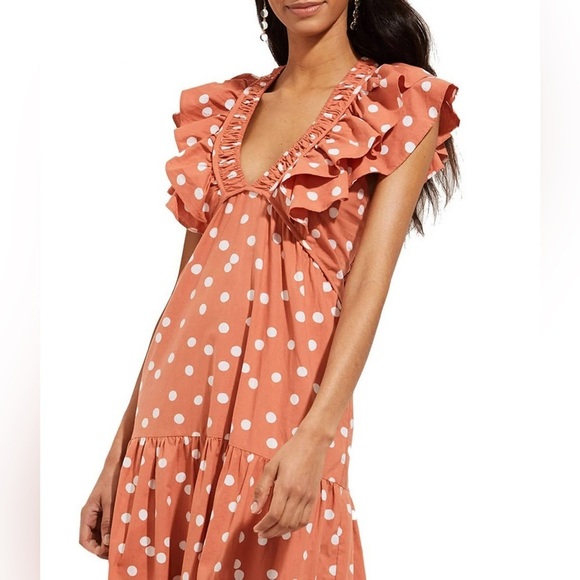 Roller Rabbit Polka Dot Ondine Tiered Ruffle Dress in Clay Color - Picture 15 of 16